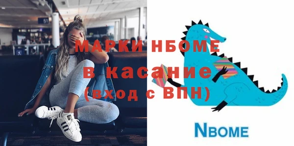 хмурый Абаза