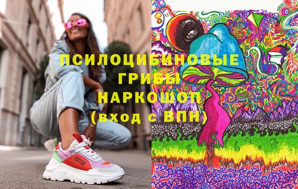 хмурый Абаза
