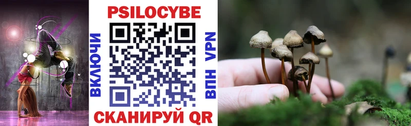 Псилоцибиновые грибы Cubensis  Духовщина 