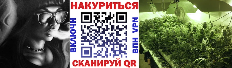 Бошки марихуана THC 21%  купить   Духовщина 